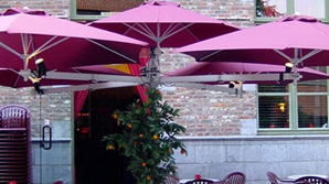 Paraflex Multi-System Umbrellas